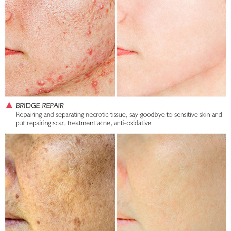 Vibrant Glamour Moisturizing Essence Skin Toner