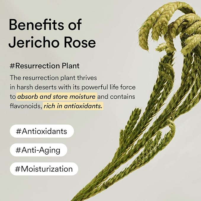 Abib Collagen Eye Cream Jericho Rose Tube for Dark Circles and Puffiness, Under Eye Fine Lines